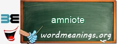 WordMeaning blackboard for amniote